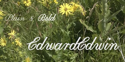 Edward Edwin