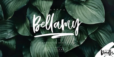 Bellamy