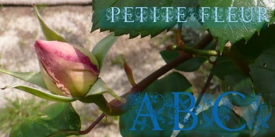 Petite Fleur