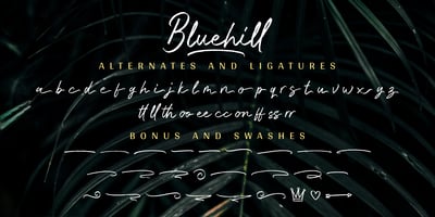 Bluehill