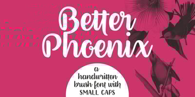 Better Phoenix