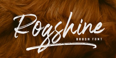 Rogshine