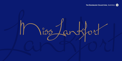 Miss Lankfort Pro