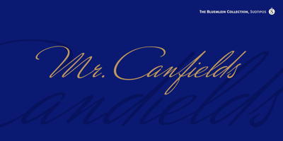Mr Canfields Pro