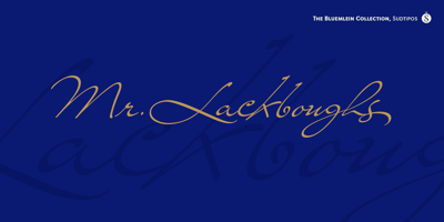 Mr Lackboughs Pro