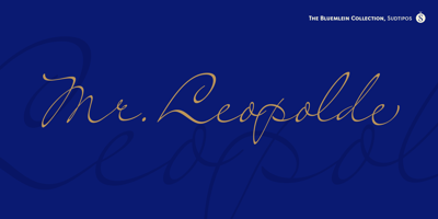 Mr Leopolde Pro