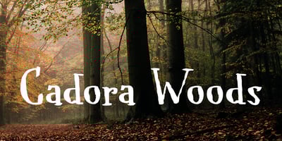 Cadora Woods
