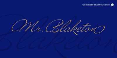 Mr Blaketon Pro