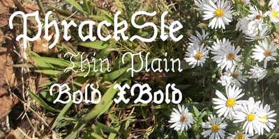 PhrackSle