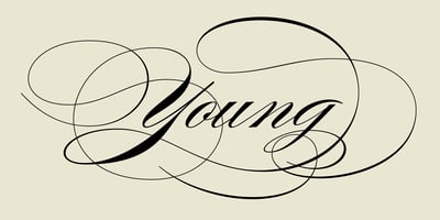 Burgues Script
