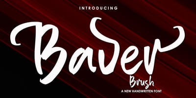Baver Brush