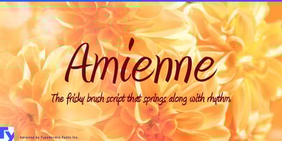 Amienne