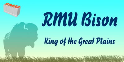 RMU Bison