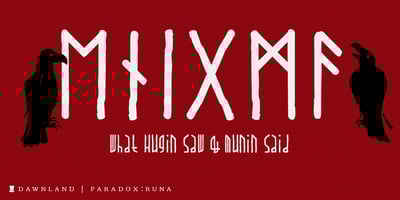 Paradox Runa