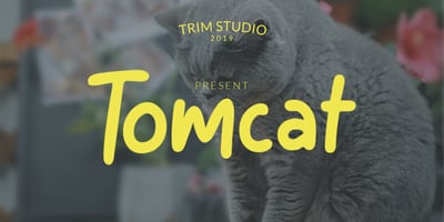 Tomcat