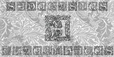 Saducismus Triumphatus