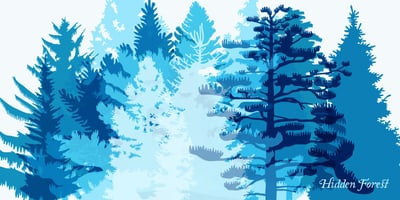 FT Hidden Forest