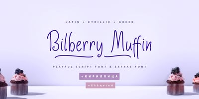 Bilberry Muffin Cyr Gr