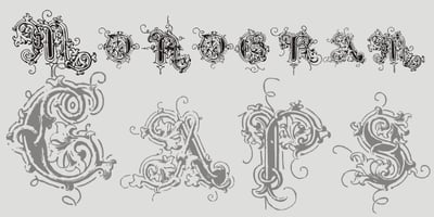 Intellecta Monogram Caps