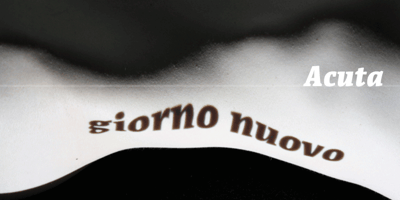 Acuta