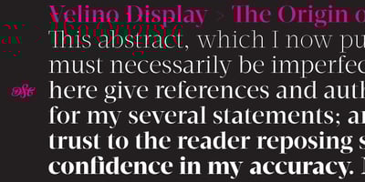 Velino Display