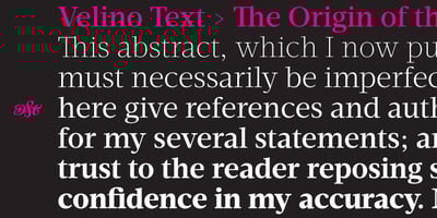 Velino Text