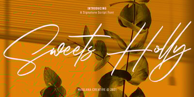 Sweets Holly