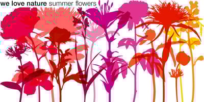 We Love Nature Summer Flowers