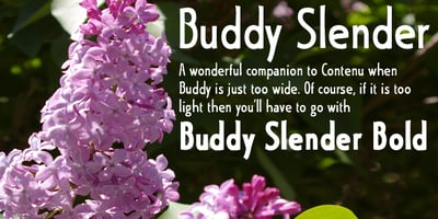 Buddy Slender