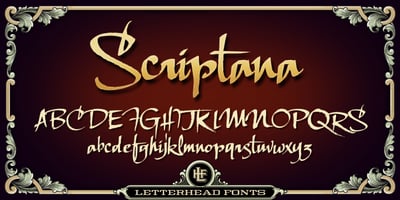 LHF Scriptana