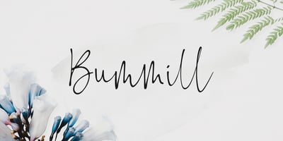 Bummill