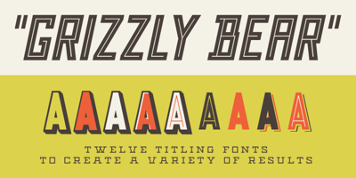 Grizzly Bear
