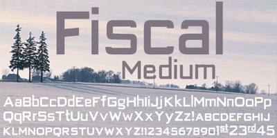 Fiscal