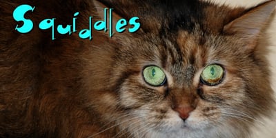 Squiddles