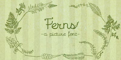 Ferns
