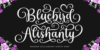 Bluebird Alishanty