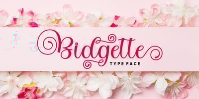 Bitgette Script