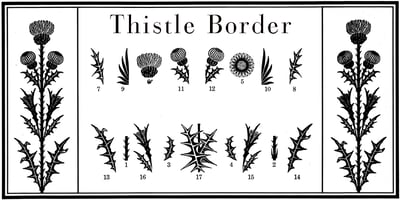 Thistle Borders
