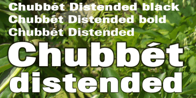 Chubbet Distended