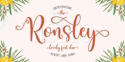 Ronsley Font Duo
