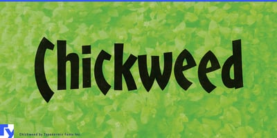 Chickweed