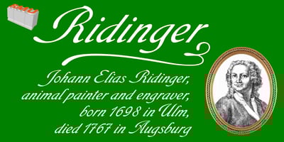 Ridinger