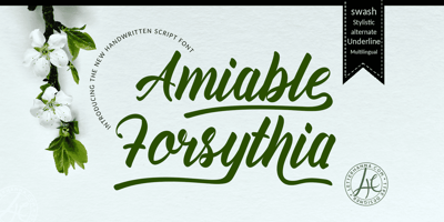 Amiable Forsythia