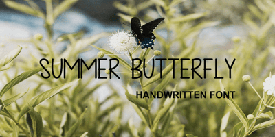 Summer Butterfly