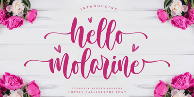 Hello Molarine