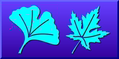 Leaf Assortment