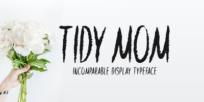 Tidy Mom