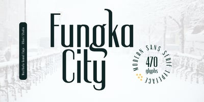 Fungka City