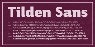 Tilden Sans