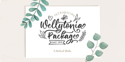 Wellytonia Package